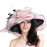 June'Young Damen-Huete Organzahut Eleganter Hut mit Feder Sommerhut Sonnenhut Damenhut fuer Kirche Hochzeit Party Karneval -